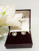 E0291_Premium American Diamond  Earrings