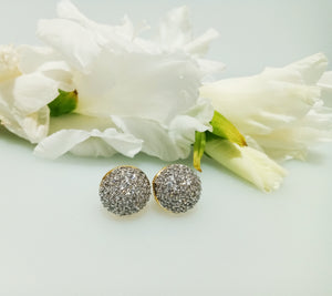 E0298_Premium American Diamond  Earrings