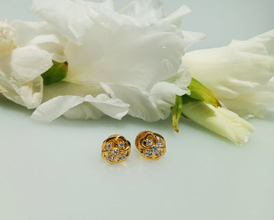 E0299_Premium American Diamond  Earrings