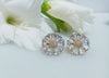 E0305_Premium American Diamond  Earrings